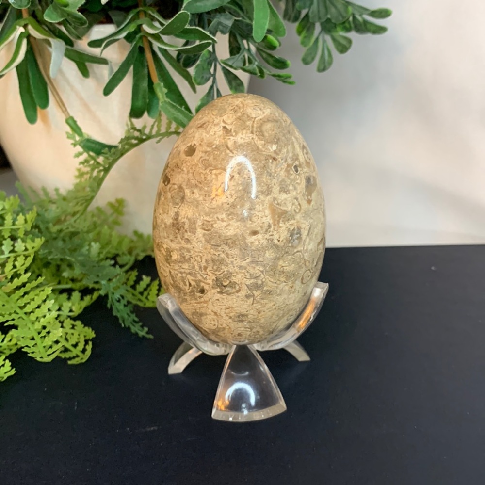 Brown, tan and cream colored MARBLE egg